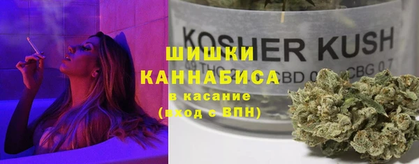 молекула духа Балахна