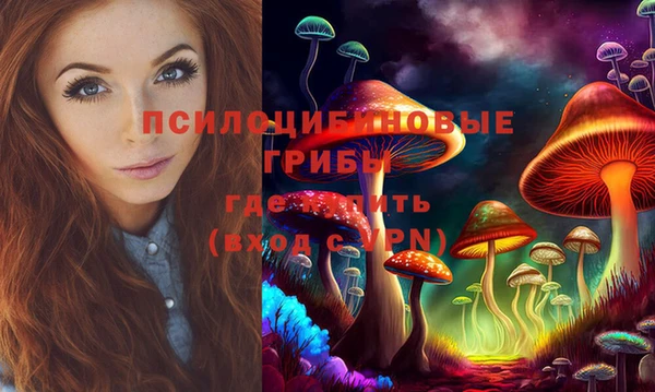 молекула духа Балахна