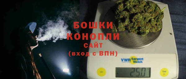 крисы Баксан