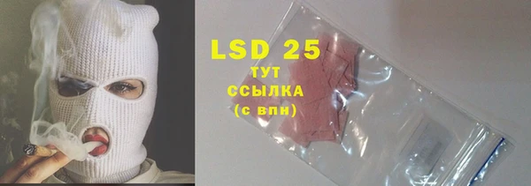 крисы Баксан