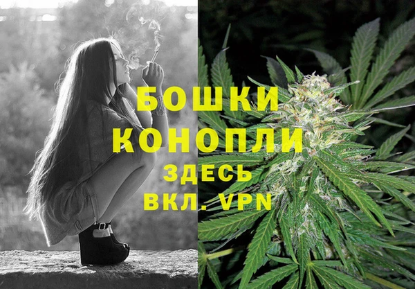 крисы Баксан