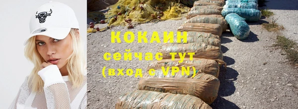 крисы Баксан