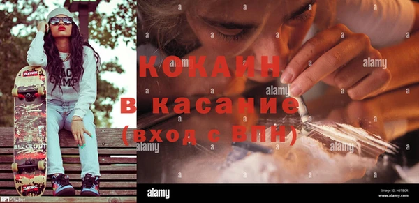 крисы Баксан