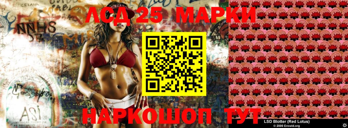 Наркотические марки 1500мкг Балтийск