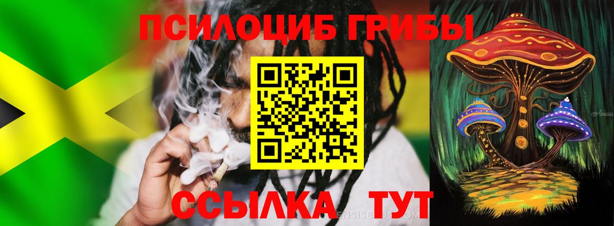 Галлюциногенные грибы мицелий  Вход с VPN  Балтийск 